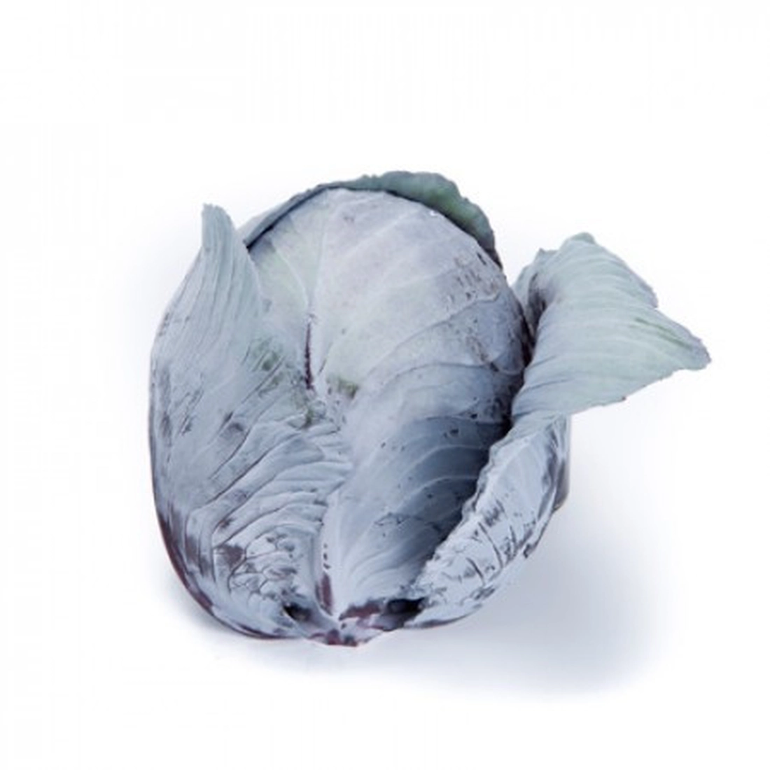 Редма F1 капуста ч/г 2500 нас. Rijk Zwaan