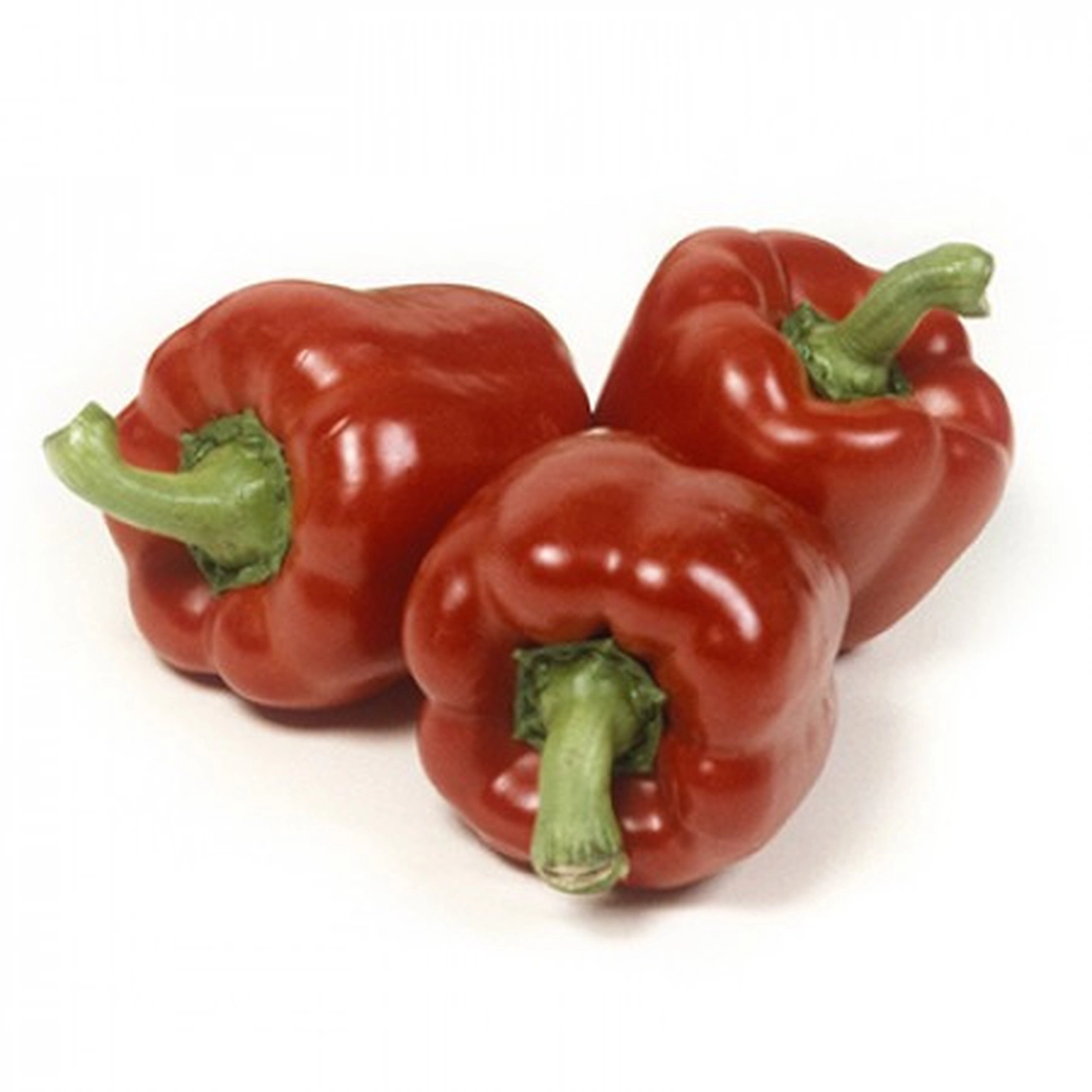 Мазурка F1 / Mazurka RZ F1 перець кубовидний червоний 1000 нас Rijk Zwaan